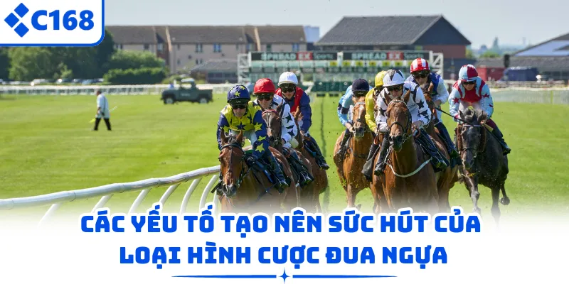 Các yếu tố tạo nên sức hút của loại hình cược đua ngựa